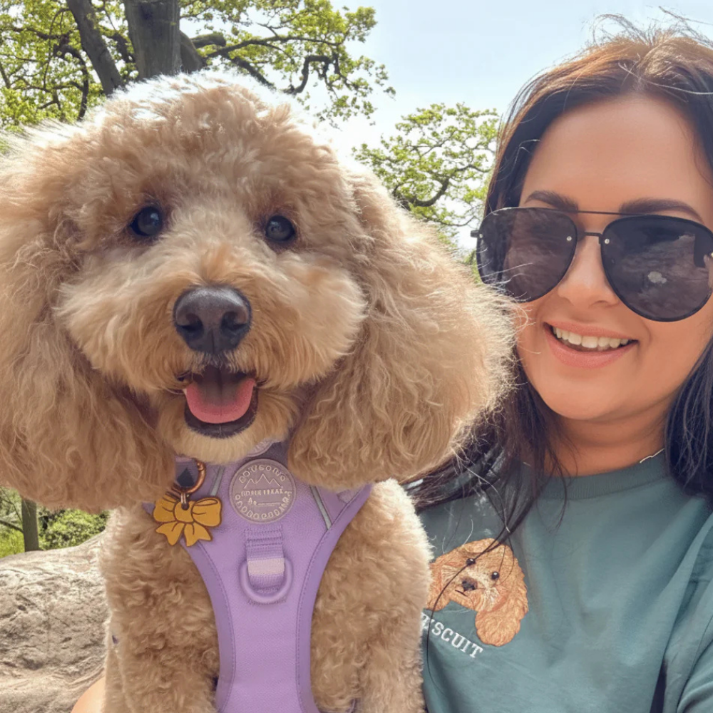 FurFold Custom Embroidered Sweatshirt